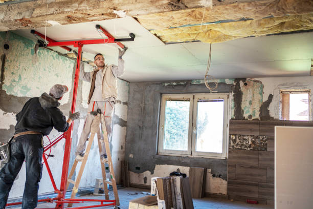 Best Insulation Maintenance and Repair in Harlingen, TX