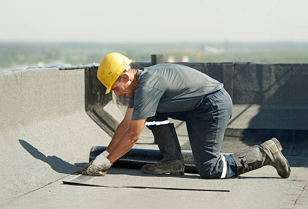 Best Types of Insulation in Harlingen, TX